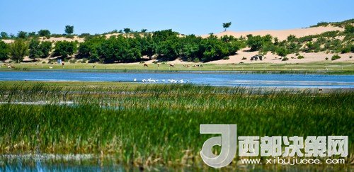 阿魯科爾沁保護(hù)區(qū)濕地沙丘。吳勇攝