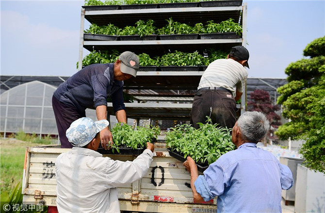 數(shù)字經(jīng)濟(jì)已經(jīng)成為我國(guó)經(jīng)濟(jì)社會(huì)更好發(fā)展的重要推動(dòng)力，也為我國(guó)鄉(xiāng)村發(fā)展提供了新的歷史機(jī)遇。（圖片來源：視覺中國(guó)）