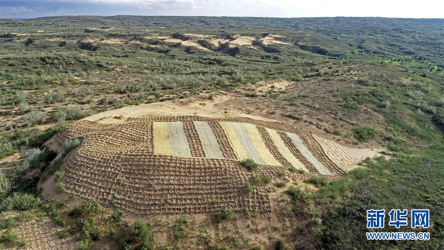 （壯麗70年·奮斗新時代——共和國發(fā)展成就巡禮·圖文互動）（6）生態(tài)美、百姓富——品讀嶄新“寧夏畫卷”