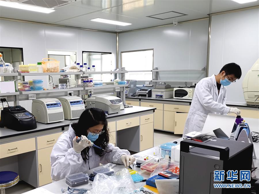 (在習近平新時代中國特色社會主義思想指引下——新時代新作為新篇章·習近平總書記關(guān)切事·圖文互動)(5)高擎利劍驅(qū)疫魔——科研攻關(guān)助力湖北戰(zhàn)“疫”記