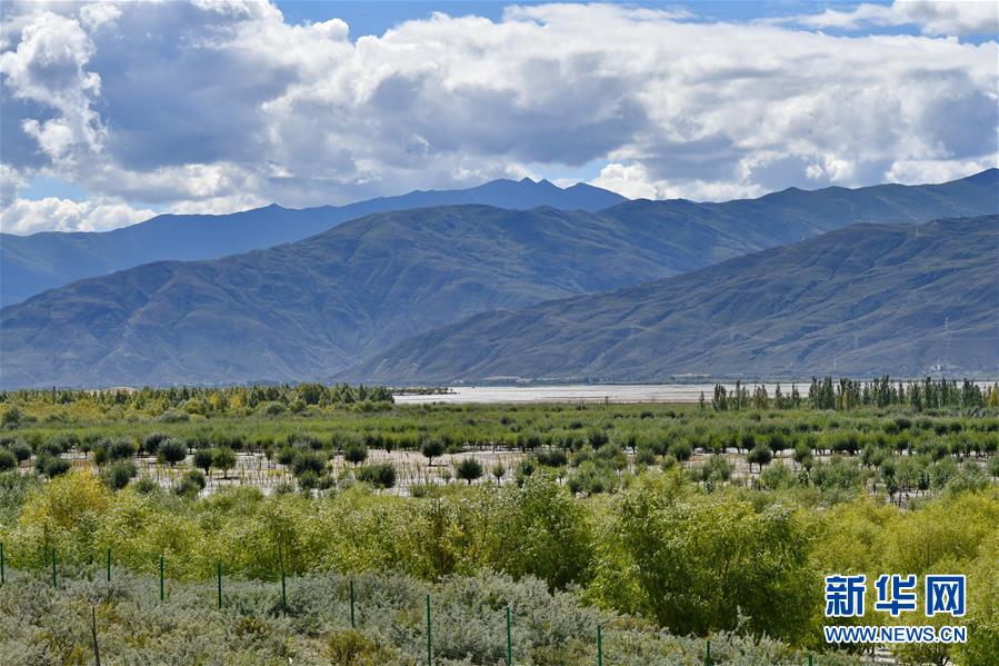 （圖文互動）（4）“今天的生活，就像夢里夢到那樣甜”——寫在西藏百萬農(nóng)奴解放61周年之際