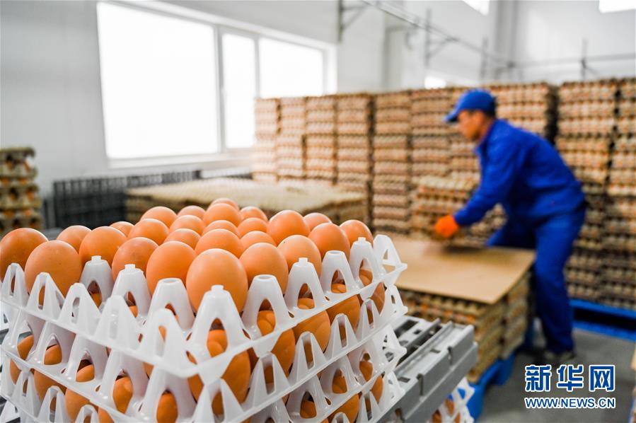 (新華全媒頭條·圖文互動)(9)內蒙古貧困旗縣全部“摘帽”