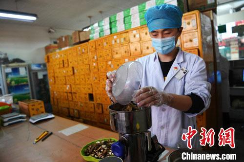 疫情發(fā)生以來，甘肅確保所有病例盡早、及時(shí)、全程使用中醫(yī)中藥，努力做到“一患一方案”。(資料圖) 楊艷敏 攝