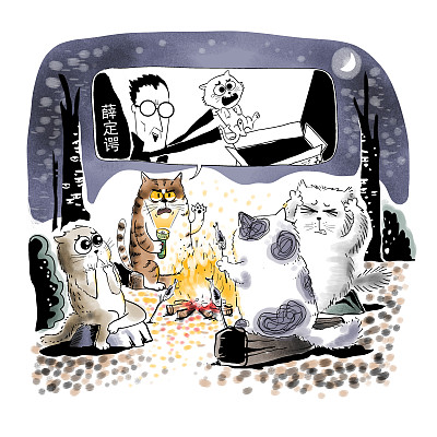 ▲物理學(xué)家薛定諤曾用一只貓比喻量子疊加。圖片來源：視覺中國(guó)