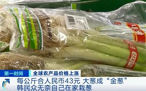 央視財經(jīng)報道截圖。
