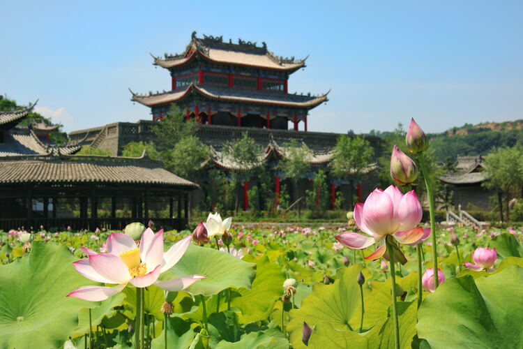 【云游渭南】心中若有桃花源，此處便是水云間！待疫情散盡，一起來渭南桃花源賞美景、觀民俗、享美食_fororder_2