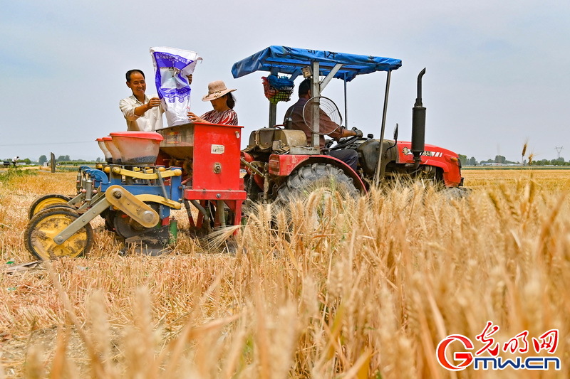 【大國“糧”策】國家發(fā)改委：300多萬噸儲備化肥已開始向市場投放